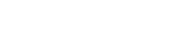 Hogan Real Estate transparent logo